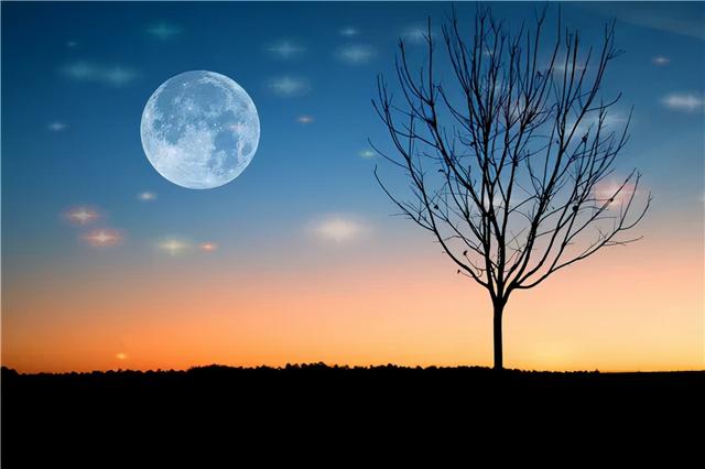中秋望月:意境优美,令人陶醉