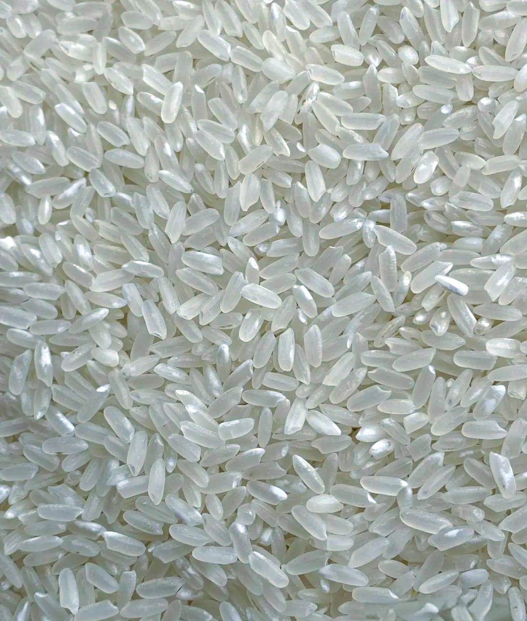 粳米:《全国中草药汇编》中的多功能药用食材