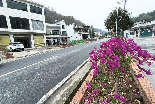 紫云坝羊镇:产业发展富农家 环境整治美家园