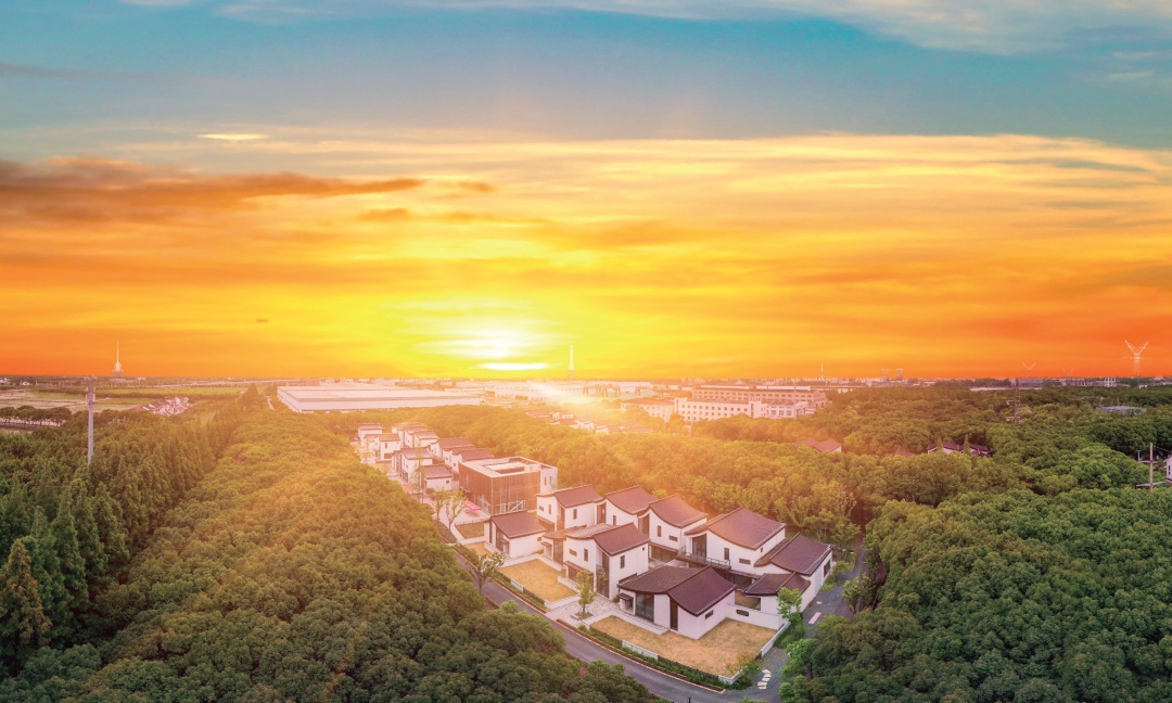 良辰好景归处,庄行郊野公园丨奉贤风物