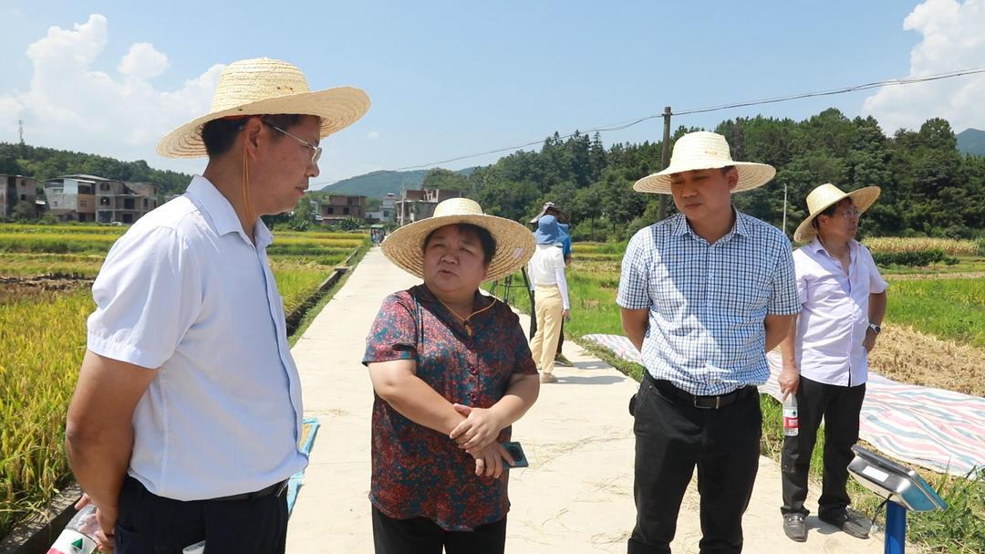 江永谢文彬图片