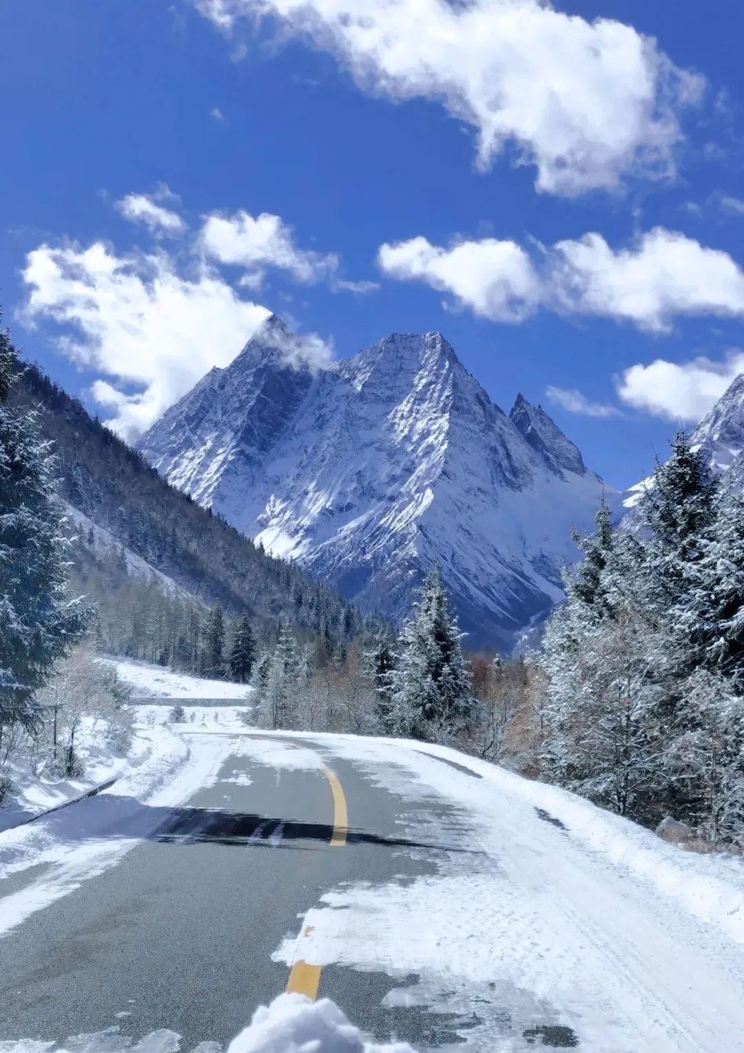 绝美雪景图图片