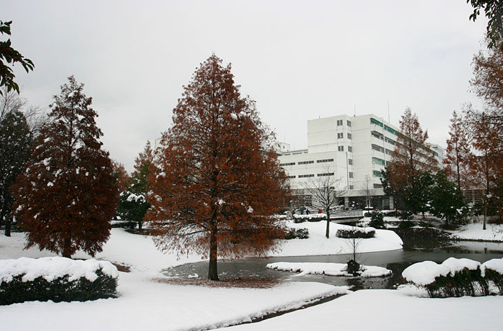 岐阜大学图片