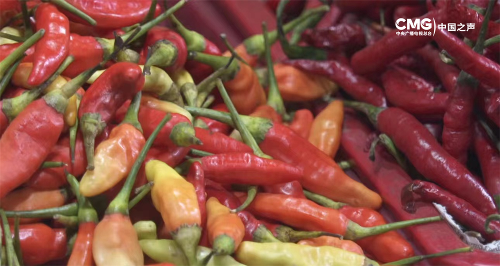 总台记者看世界丨受极端天气影响 印尼部分辣椒价格翻倍