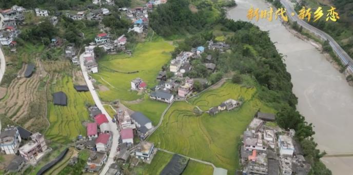 亚朵村的茶:助力边陲小村驶入振兴快车道