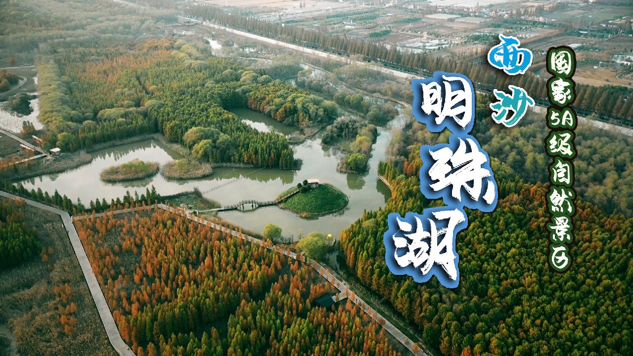 明珠湖森林公园图片