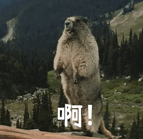 跨越次元动物揭秘!《哪吒2》里的申公豹究竟是什么豹?