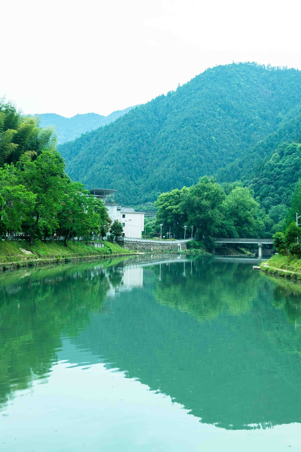 江浙沪周末游去哪?此古村靠"养鱼"而出名,远离尘嚣,风景超美