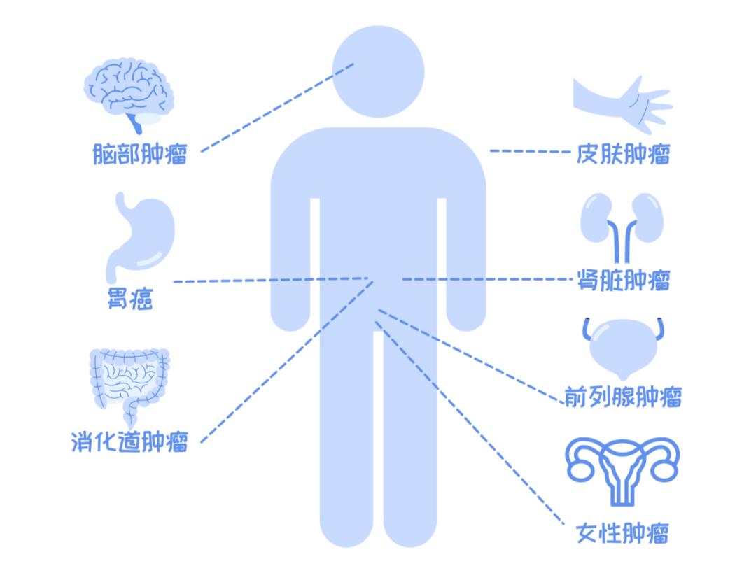 国际罕见病日 | 易患癌症的罕见遗传病——林奇综合征