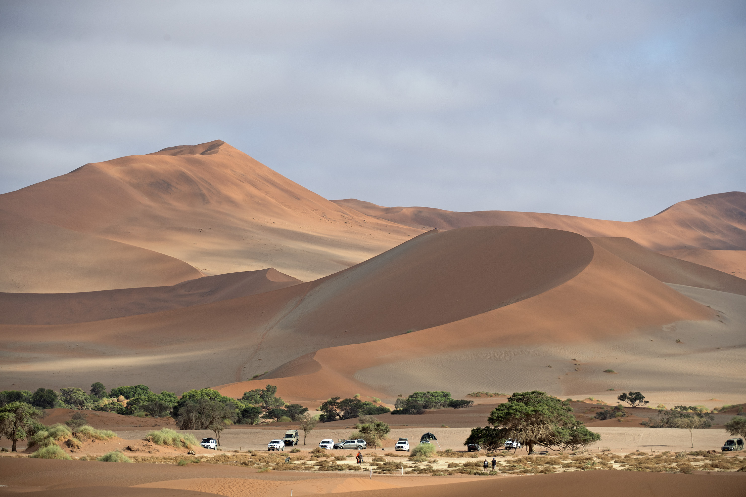 纳米比亚红色沙漠图片