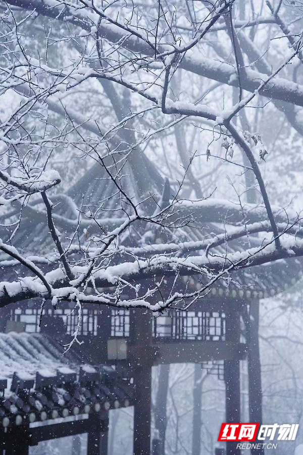 浪漫春雪落满山林 湖南最美雪景藏在这些景区里