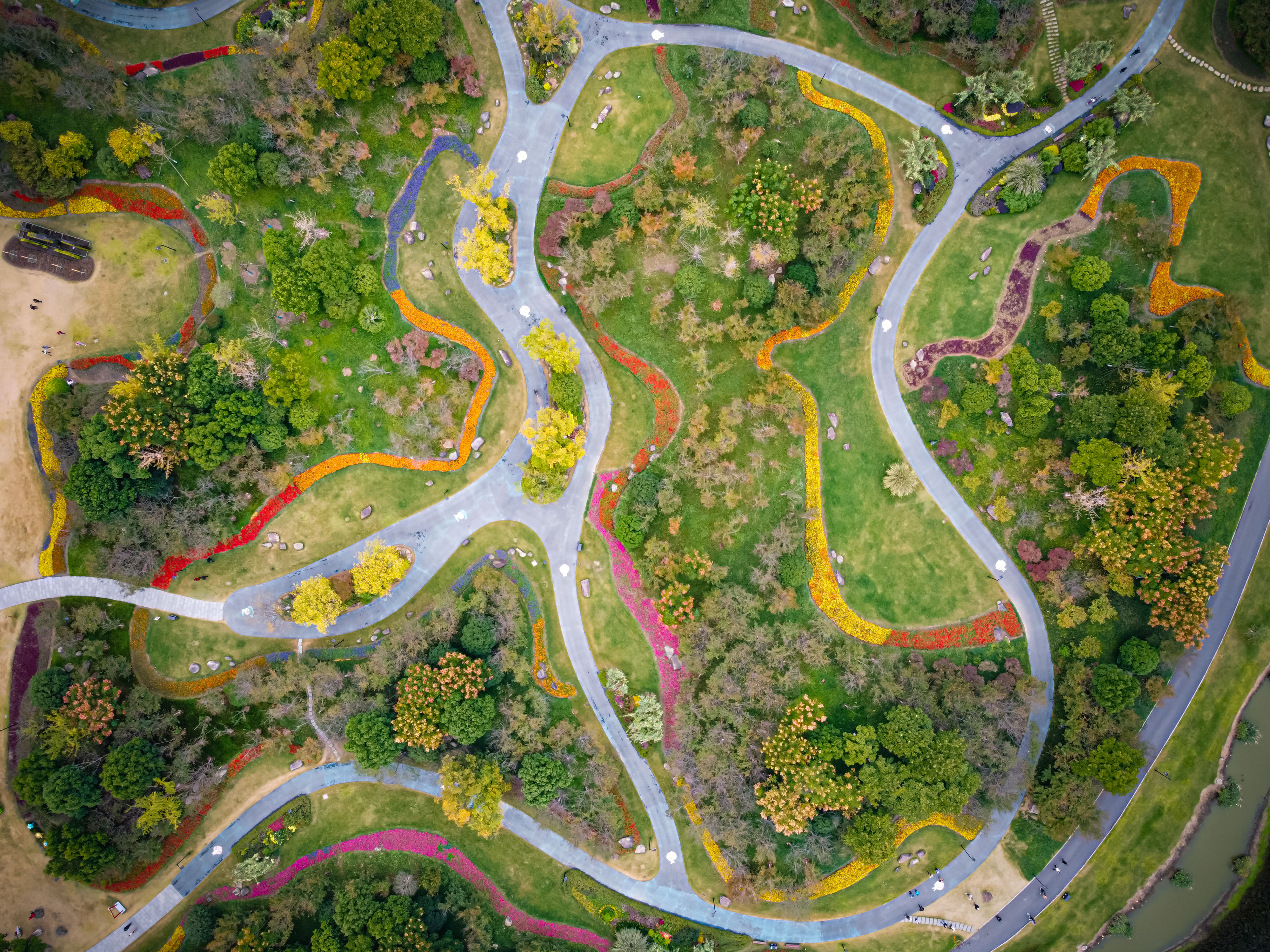 浙江杭州:径山花海迎客来