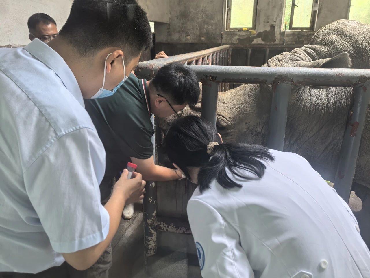 微信图片_2025-07-08_165141_170.jpg