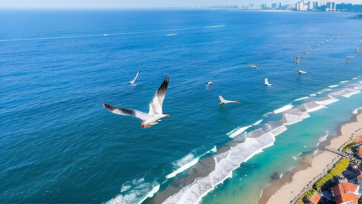 海鸥乔纳森:探索飞行极限的传奇故事