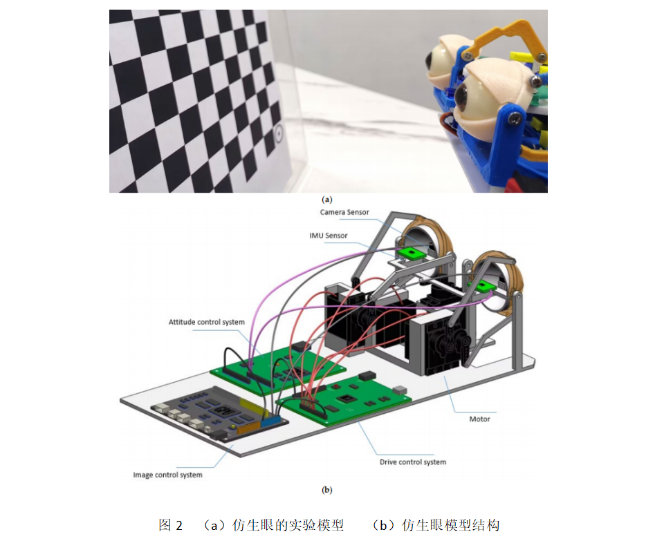 新型机器人仿生眼运动姿态控制系统
