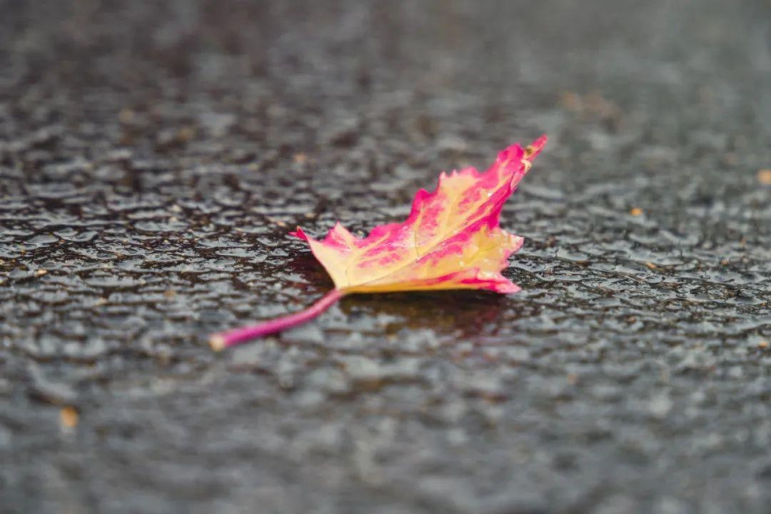 32℃→23℃!什么叫"一夜入秋",泸州人今晚就能体会到了