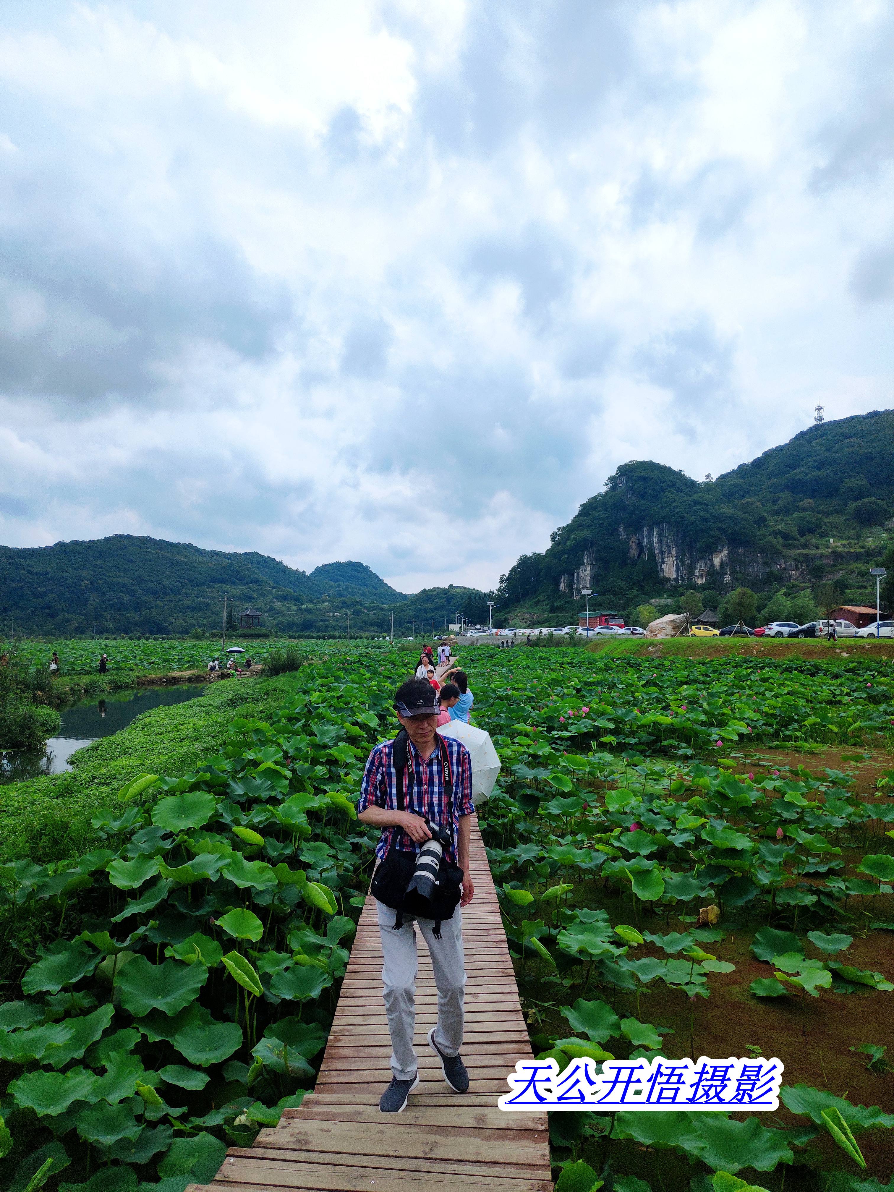 贵州安顺十里荷廊风景区介绍