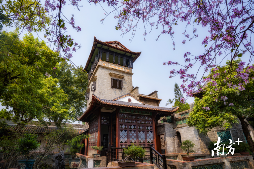 走讀博物館③|東莞市可園博物館:清代廣東四大名園之一