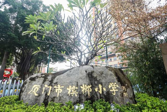 槟榔小学招生划片和小升初毕业录取各个初中基本数据