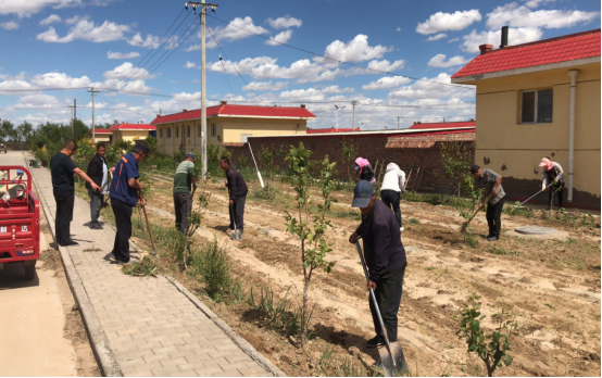 五原县复兴镇庆生村固定党日齐劳动,美化庆生宜居村