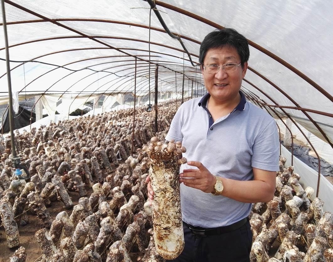 「一日一星」王立安:全心育人,产学研助力乡村振兴