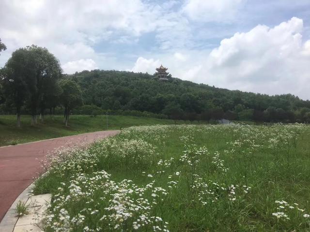 武汉印象之二妃山