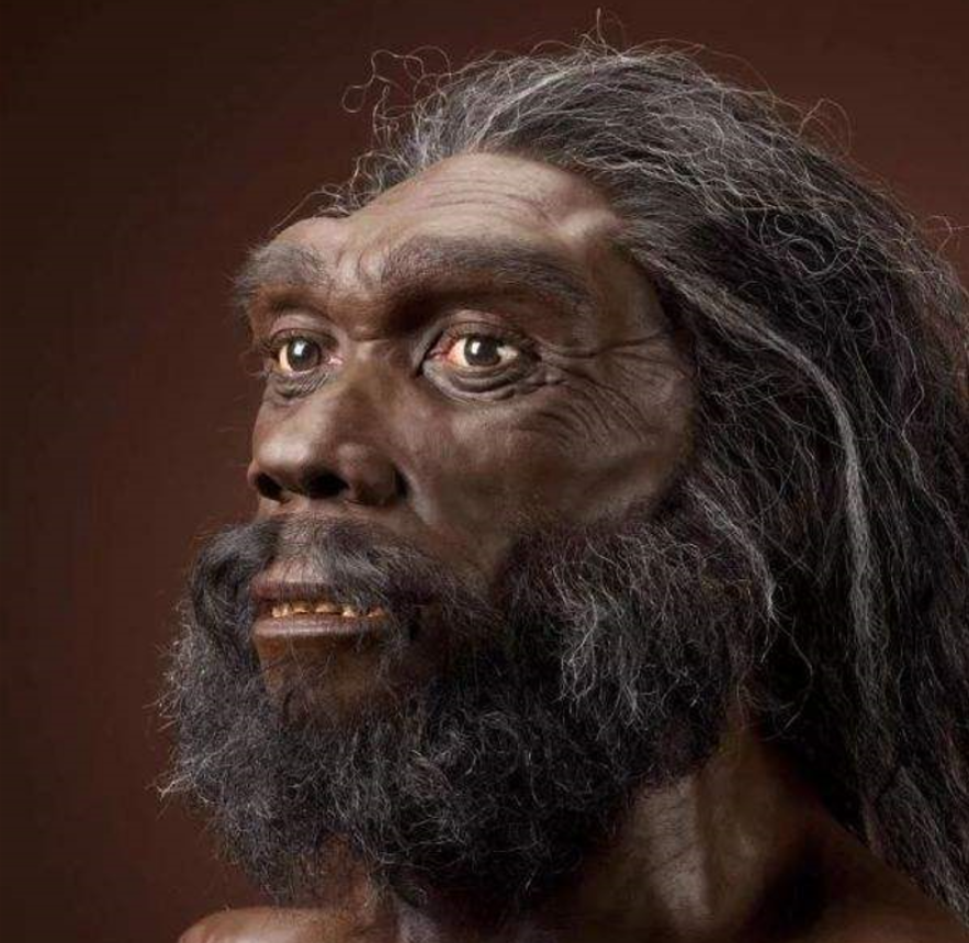 地球10万年前至少还有6种人类,为何最后,只剩下我们?