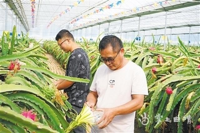 陸良縣馬街鎮為鄉村振興注入新動力