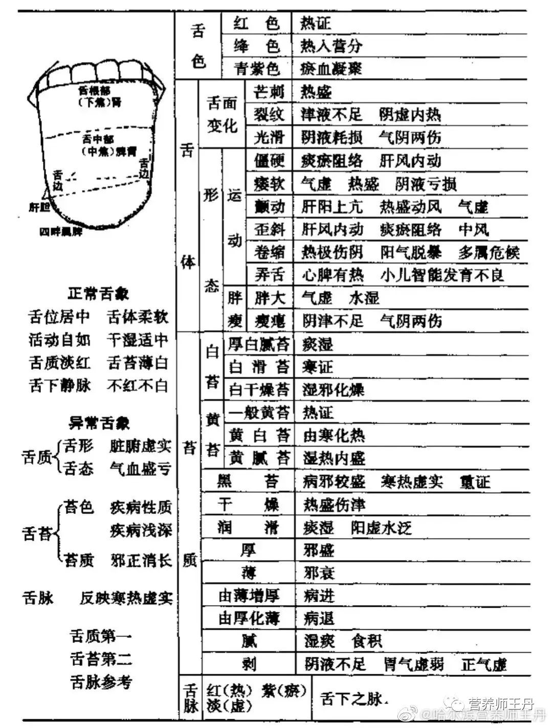 全息舌诊课件图片