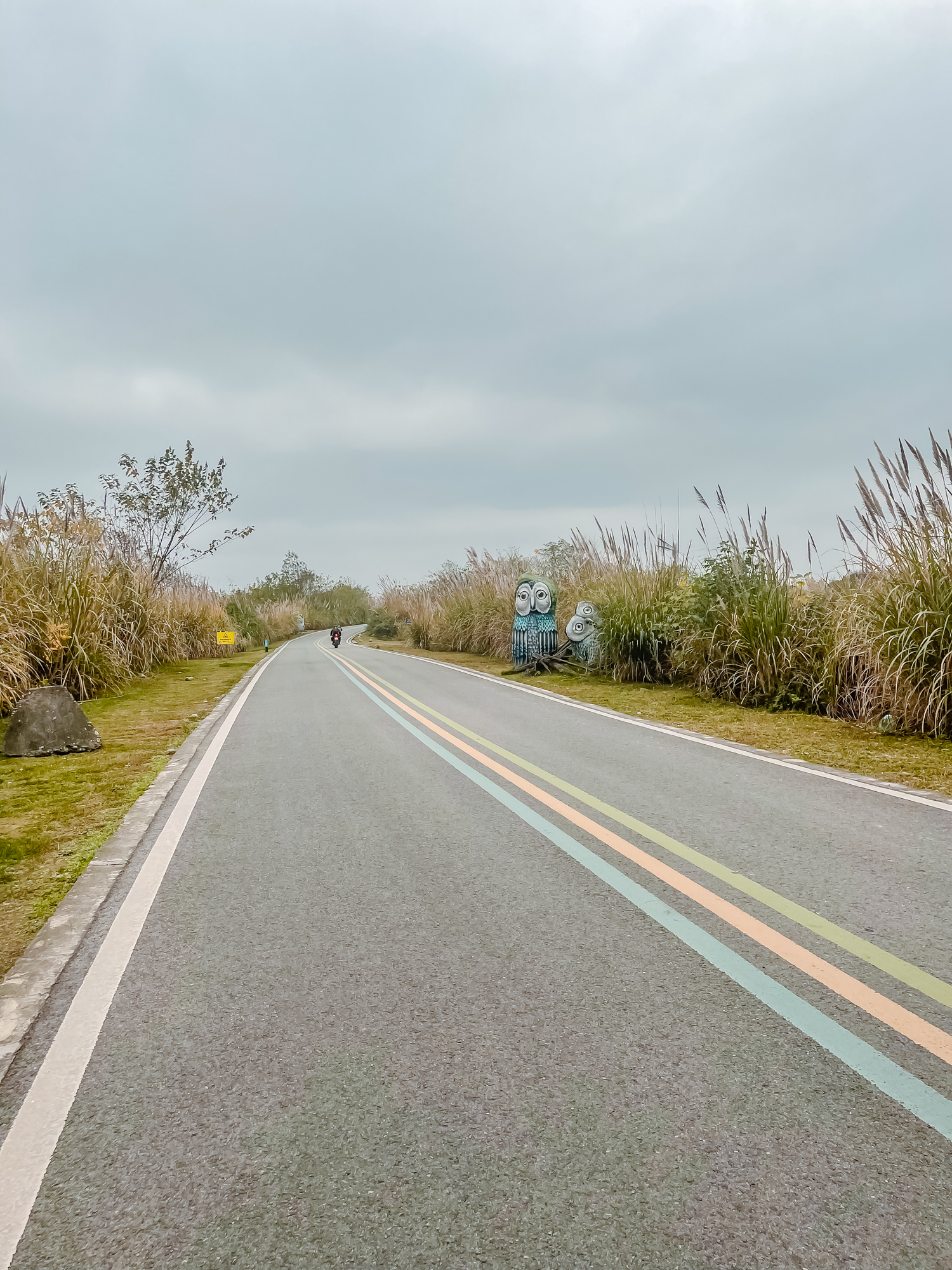 地铁直达的温江北林绿道,全长20公里,在绿野仙踪里骑车 今天的出发点