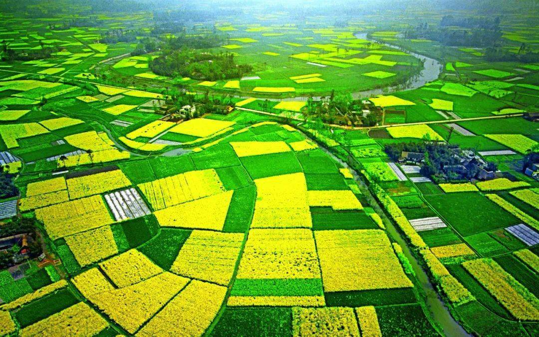 【美丽四川】徜徉梨花溪‖田闻一