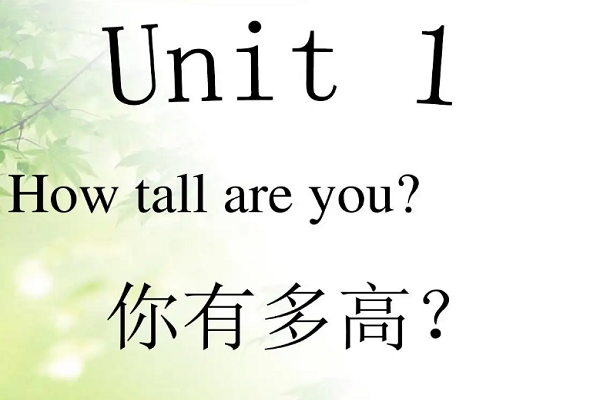 你多高用英语怎么说