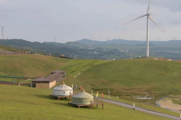 乡游黔中 · 龙里县 谷脚镇|刺梨满山坡,野山菌飘香