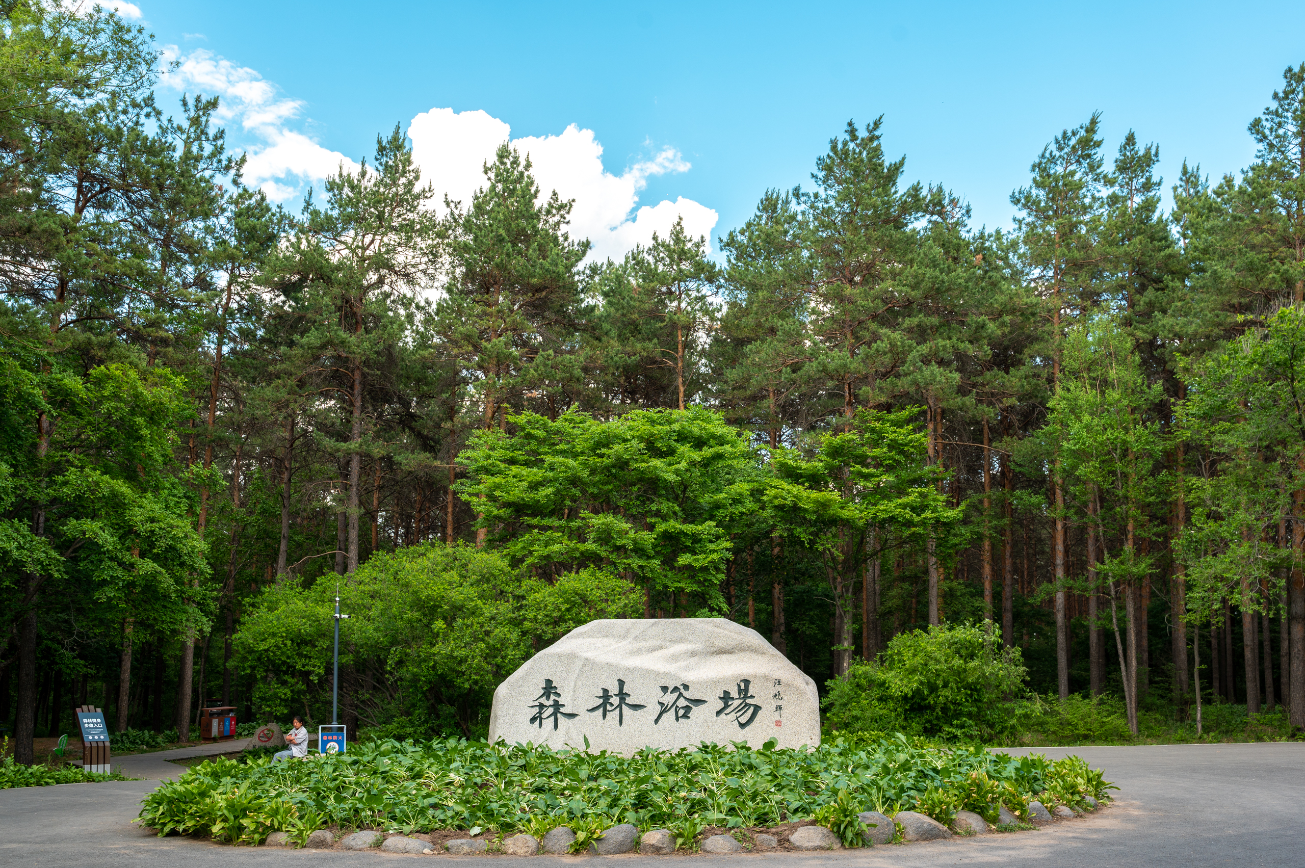 亚洲第一大人工林海净月潭,夏日避暑绝佳胜地,《人世间》取景地