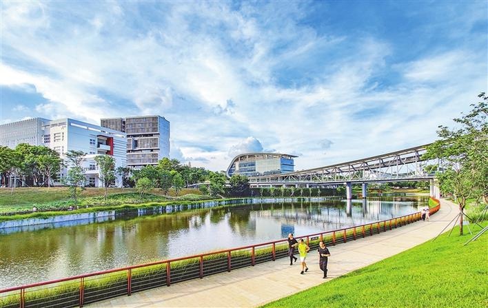 大沙河"学院之道"重新开放