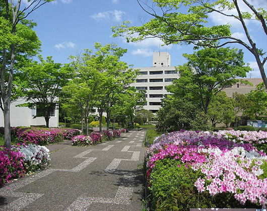 日本兵库大学图片