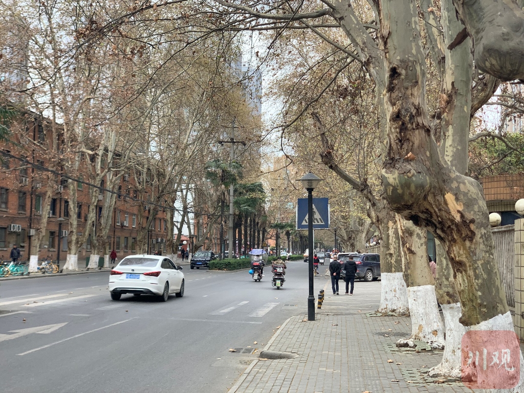 走进初心地(1951—1960)绵阳跃进路:一条路的光荣与梦想