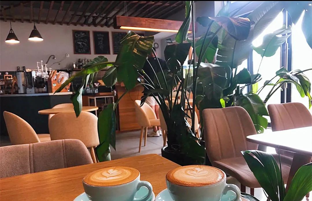 网红打卡|不只生椰拿铁!解锁隐藏在成都的宝藏咖啡店!