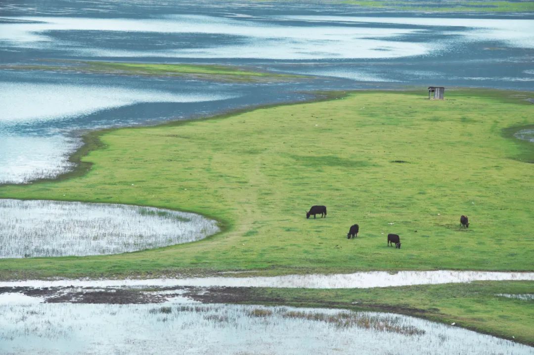 voyage │ 逝川与流光,飘忽不相待