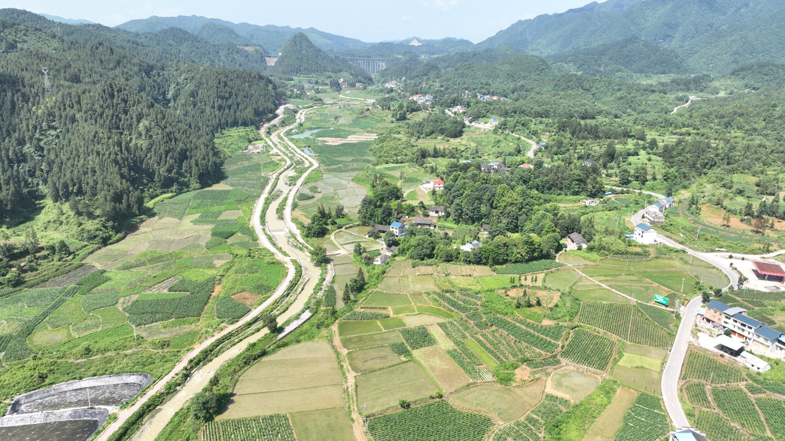 岑巩县凯本镇:订单辣椒管护忙 助农增收"辣"劲足