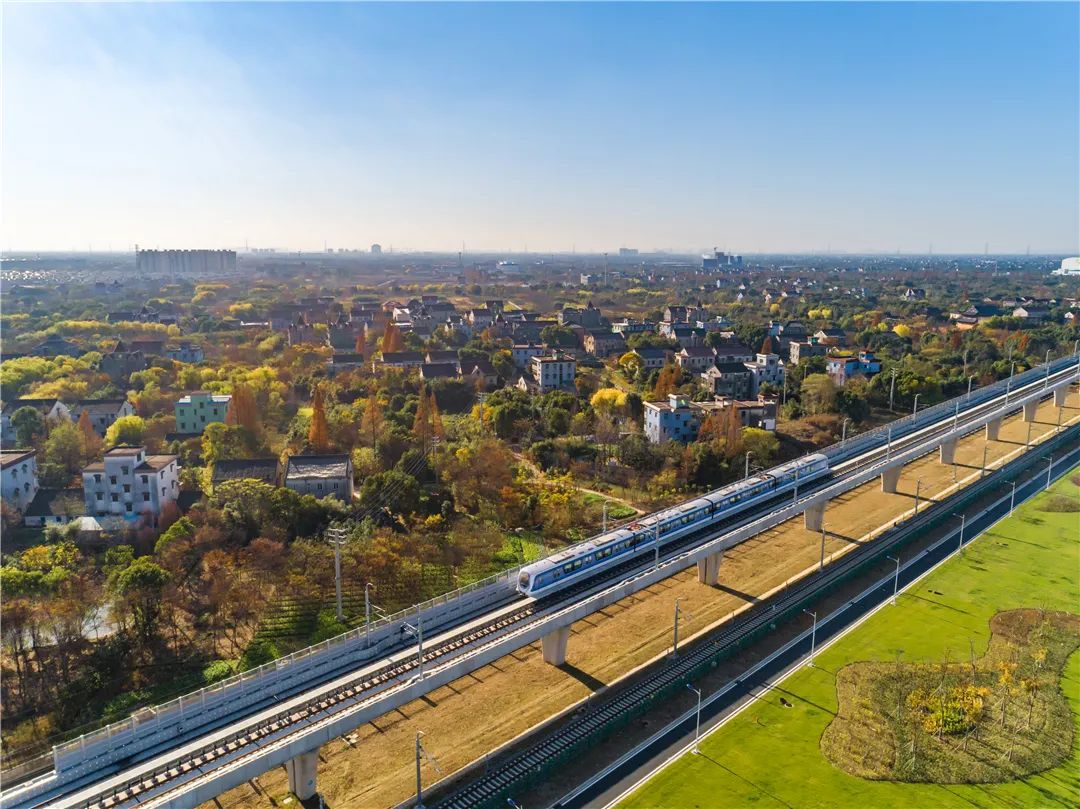 杭海城际铁路列车飞驰.金璐 摄