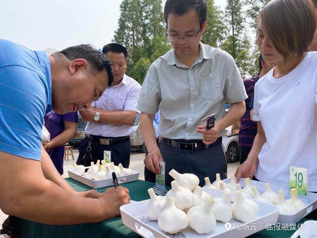 第二届中国兰陵(苍山)网上大蒜节开幕