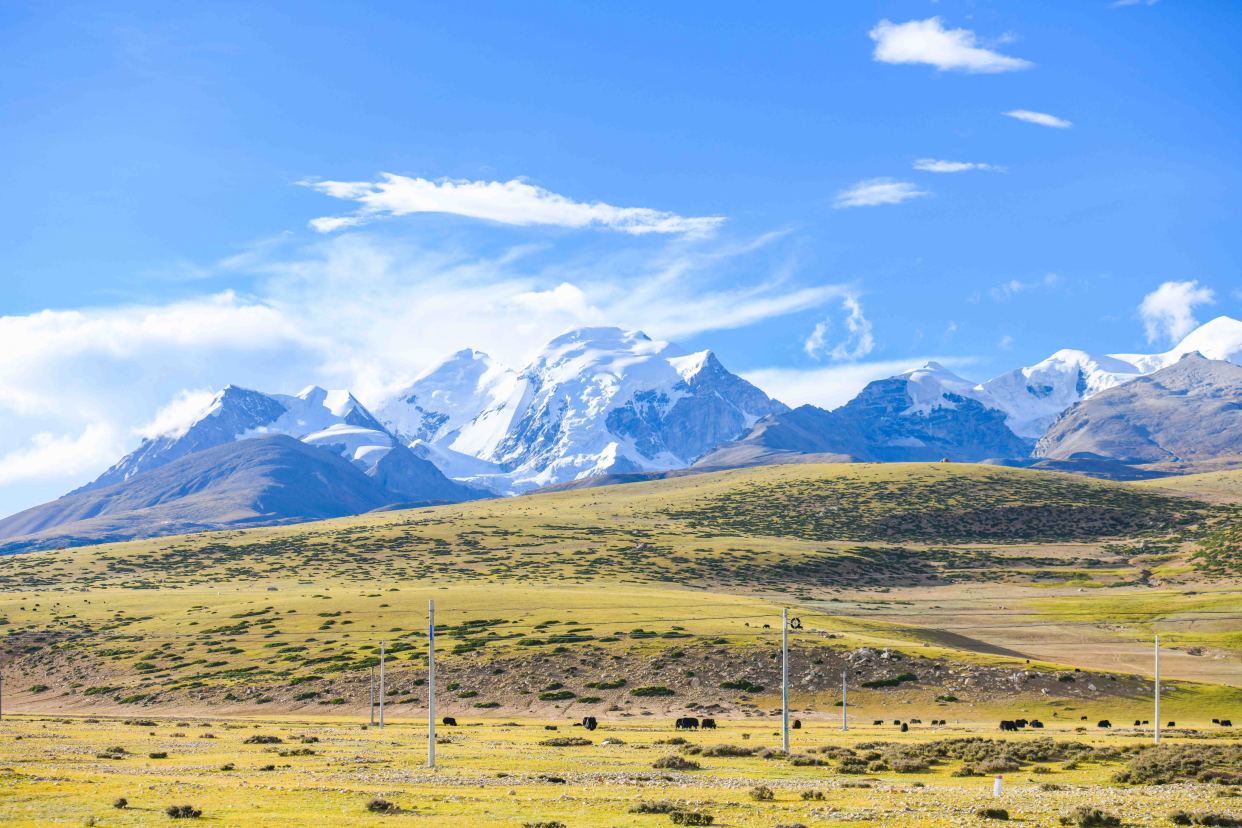西藏超神秘藏北草原,这里有山河湖泊,高原雪山,自驾爱好者必来