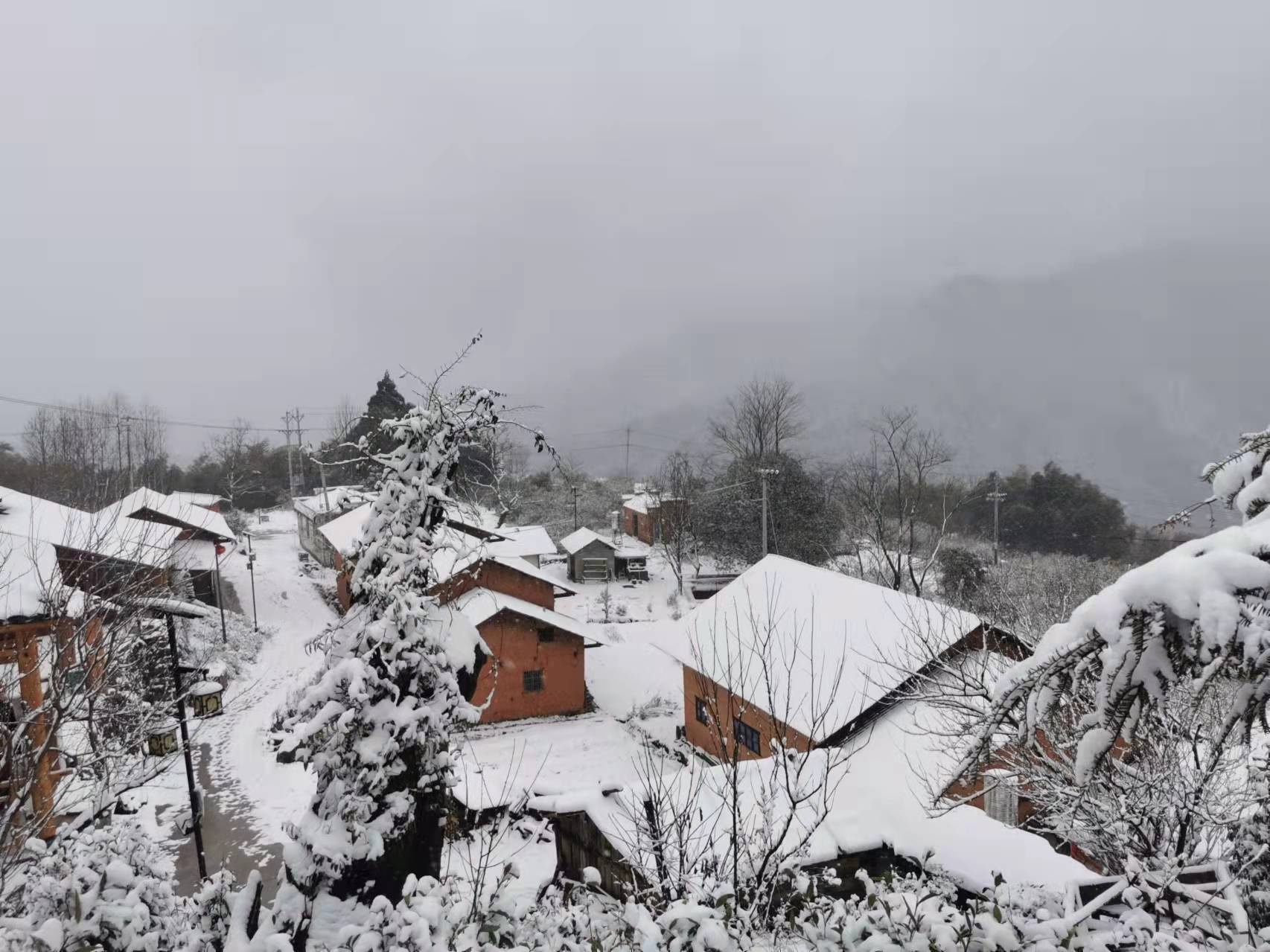 安徽农村雪景图片