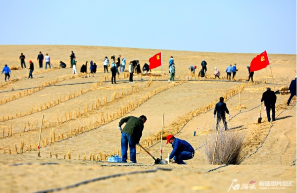 新疆获评防沙治沙工作突出省份