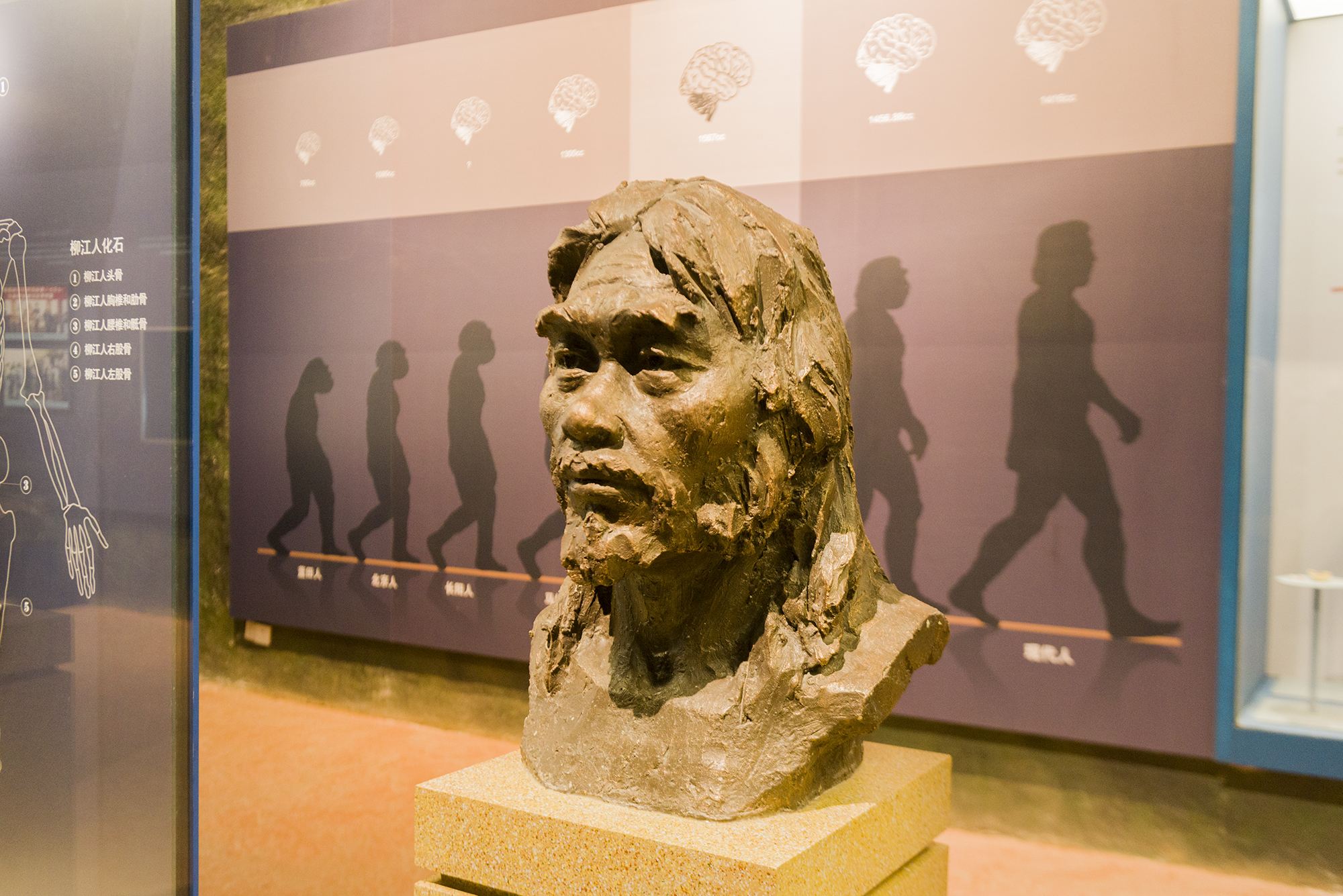 人类起源于非洲吗?柳江人化石打破理论,"夏娃理论"遭质疑