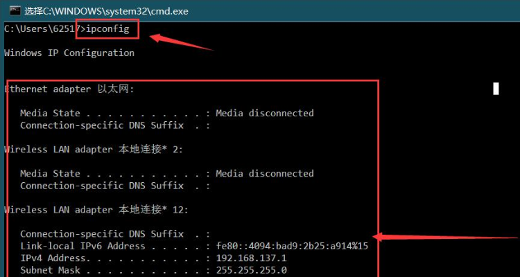 ipconfig命令的功能