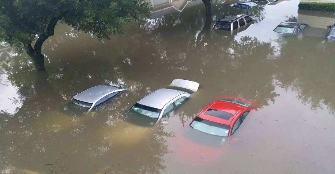 水泡车图片大全高清图片