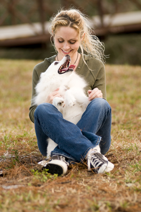 爱斯基摩犬和萨摩图片