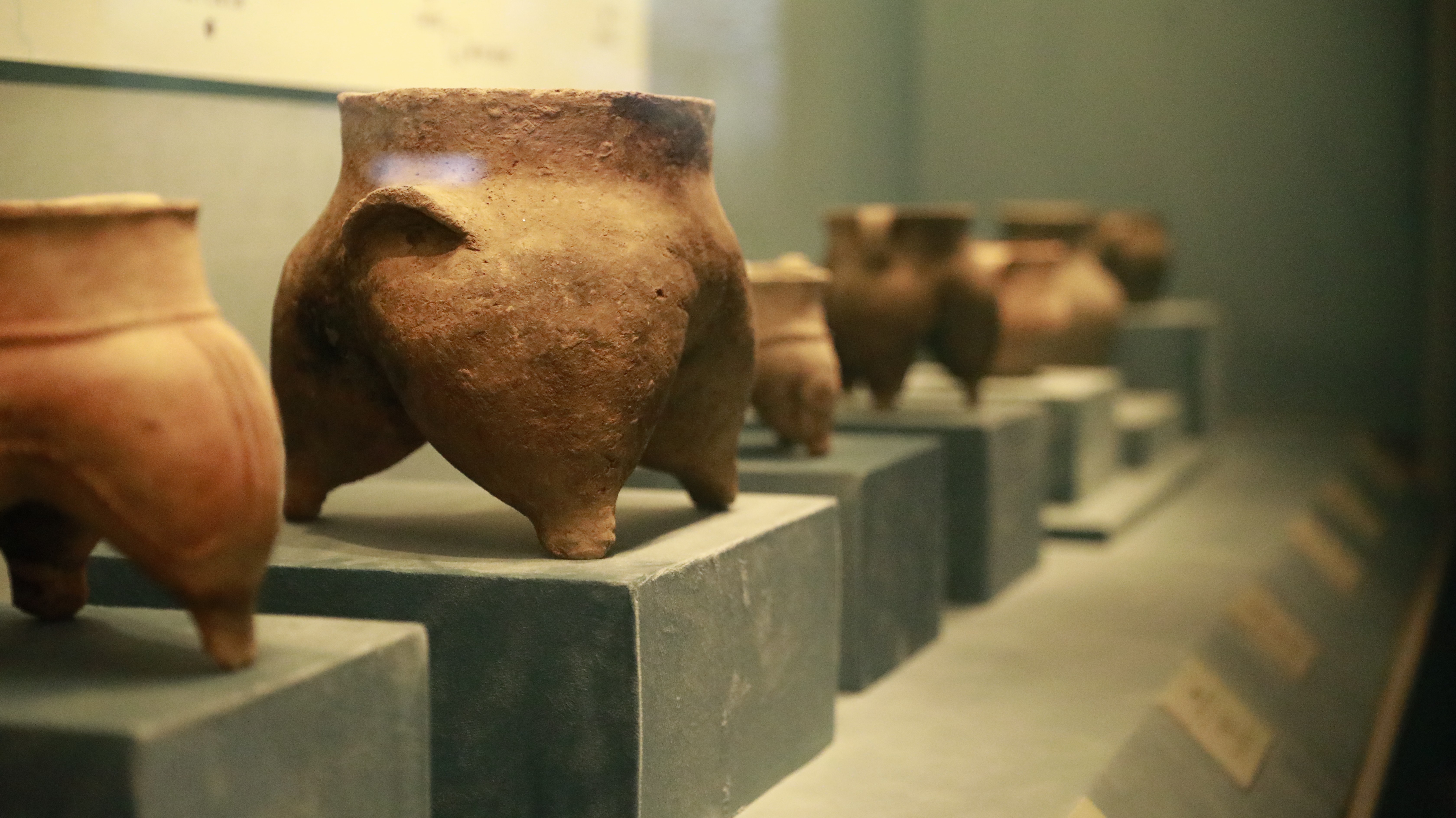 为什么说马家塬遗址文化是"四不像",到苏州博物馆一探究竟